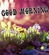 Image result for Good Morning Spring Beach
