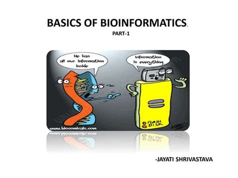 Bioinformatics Basic 的图像结果