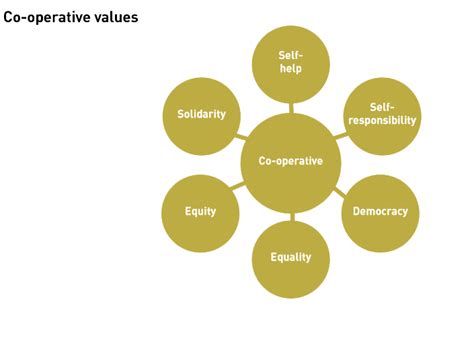 Co-operative Core Values 的图像结果