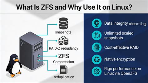 Image result for Linux ZFS Performance