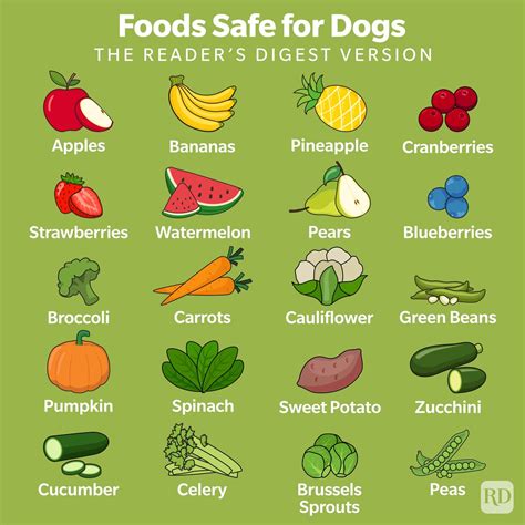 Foods good for dogs online