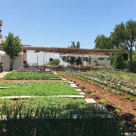 MAWAL ANNAYA (Byblos) - Guesthouse Reviews & Photos - Tripadvisor