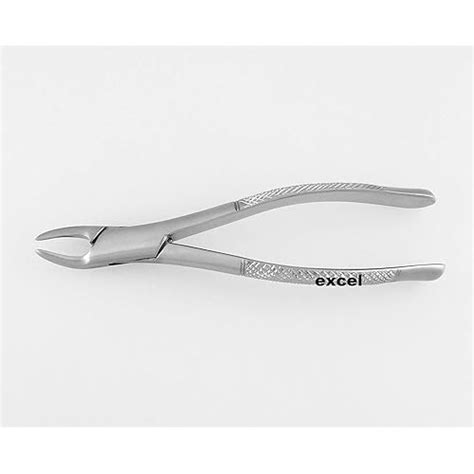Buy Dental Forceps #150 for Upper Incisors, Cuspids Bicuspids, Roots ...