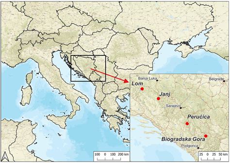 Frontiers | Old-growth forests in the Dinaric Alps of Bosnia ...