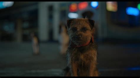 Strays (2023) Screencap | Fancaps