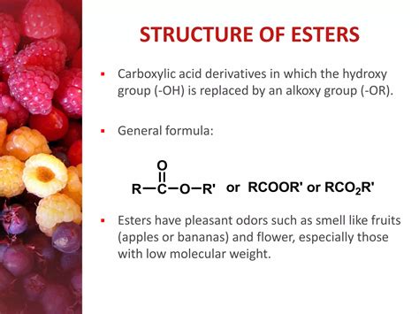 Chapter 7 ester | PDF