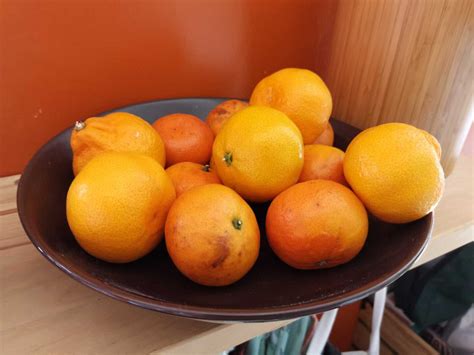 Huawei Android Tablet 的图像结果