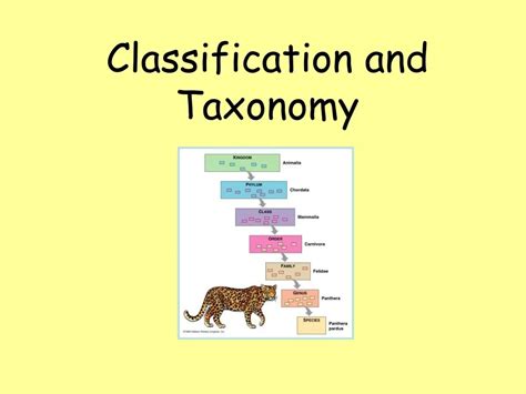 Image result for Taxonomy HTML/JavaScript