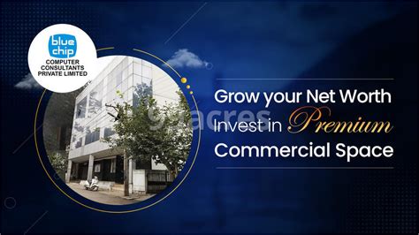 Image result for Blue Chip Computer