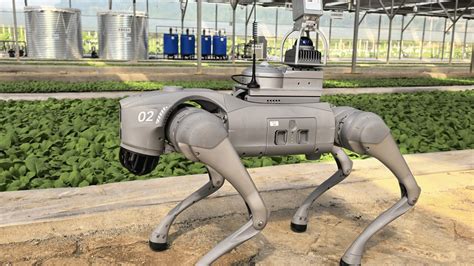 UniTree Robot Communication System 的图像结果