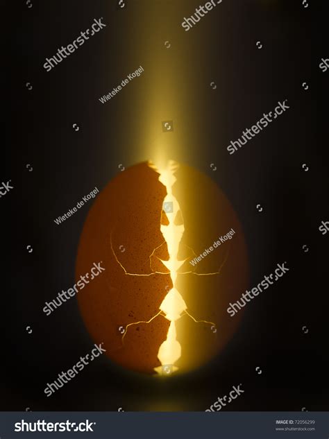 Image result for Alien Nation Birth