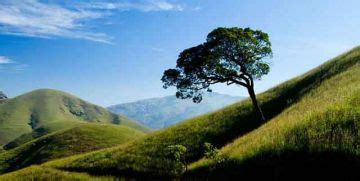 Heart-warming 2 Days 1 Night Kudermukh Vacation Package | Kudermukh ...