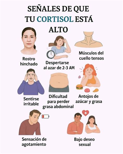 Cortisol elevado: señales, efectos y cómo equilibrarlo de forma natural - Amazing
