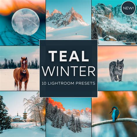 Teal Winter Lightroom Presets Pack – Woodland Presets