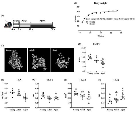 Protective Effect of Methyl Sulfonyl Methane on the Progression of Age ...