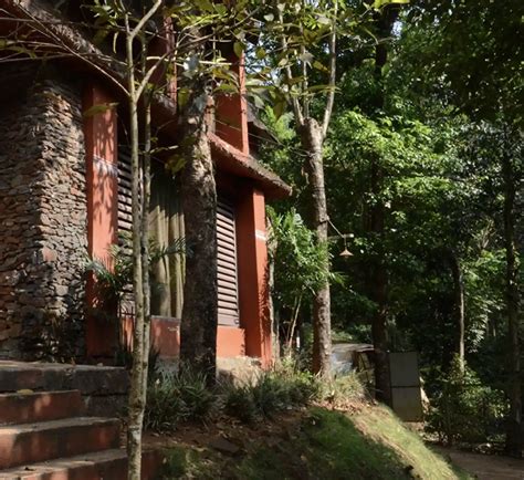 Jhari Eco-Stay | Escape. Breathe. Reconnect. In Chikmagalur.