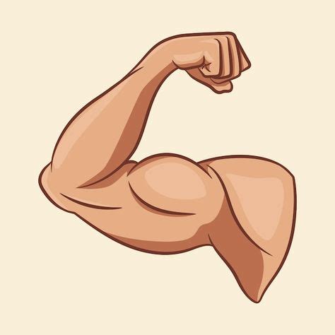 Image result for Cartoon Muscles Tutorial
