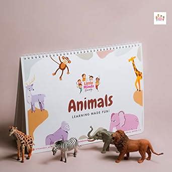 Activity Binders for Kids Aged 1-4 years , Animals Activity Binders ...