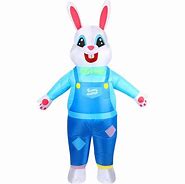 Image result for Women's Deluxe Easter Bunny Costume
