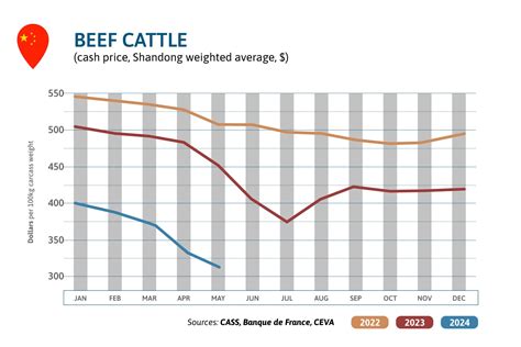 Beef Market Outlook JUNE 2024