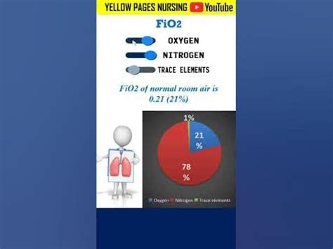 Image result for What Is the Use of FiO2