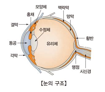 Image result for Alien Lens Sunglasses