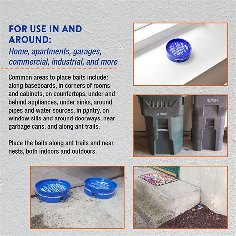 Buy Home Plus Ant Killer (Case Pack), Metal Ant Traps Indoor & Outdoor ...