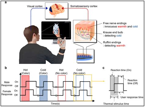 Recent Progress, Challenges, and Trends in Polymer-Based Sensors: A Review