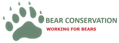 Image result for Bear Program