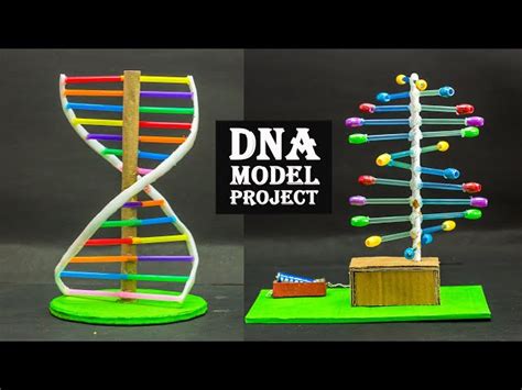 Image result for DNA Simple Homemade Model