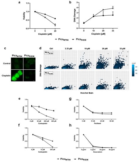 Profiling Cisplatin Resistance in Head and Neck Cancer: A Critical Role ...