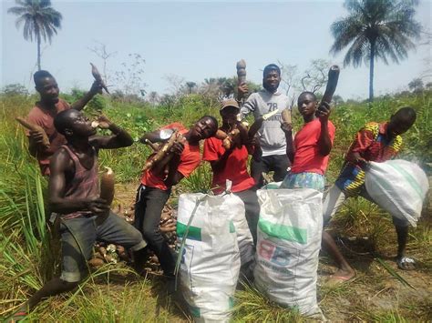 Image result for Gari Making Tutorial