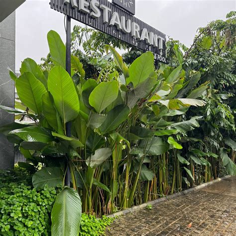 OSHIN HOTELS (Kalpetta, Kerala) - Hotel Reviews, Photos, Rate ...