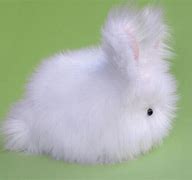 Image result for Soft Toy Bunny Rabbit
