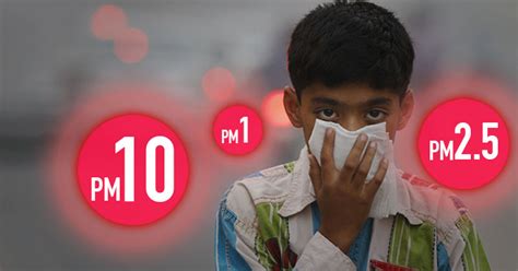 Particulate Matter Affects Your Health Directly. Here's Why You Must ...