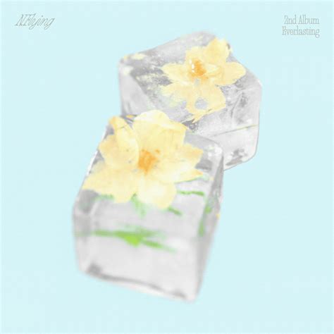 Image result for Moebius Flying Creatures