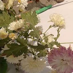 Best Top Rated Historical landmark in Shirur Anantpal, Maharashtra ...