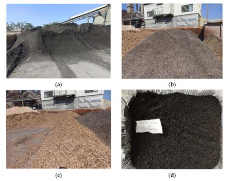 Use of Biomass as Alternative Fuel in Magnesia Sector