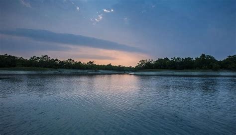 10 Places To Visit Near Kolkata In Winter In 2026