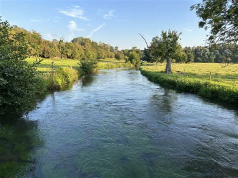 Image result for Loop to Loop Knot On Fly Line