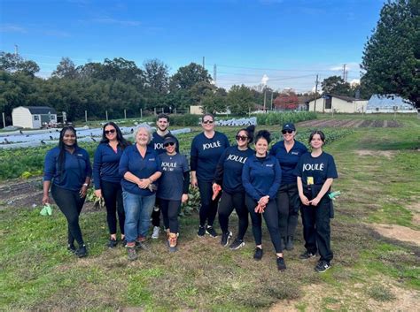 Image result for System One Training Guide