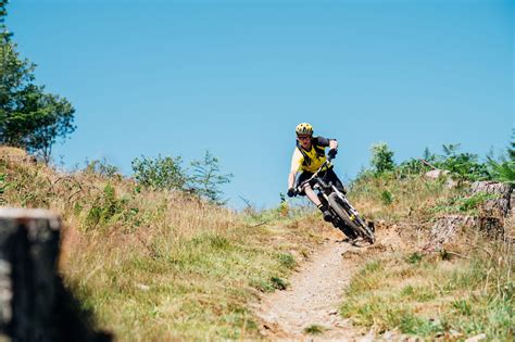 MTB Bunny Hop Tutorial 的图像结果