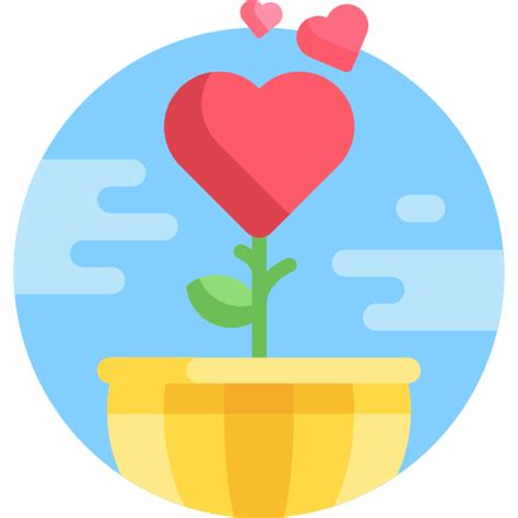 Caring for Air Plants 的图像结果