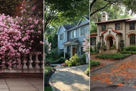 23+ Best Low-Growing Shrubs for the Front of Your House: Charming Curb ...