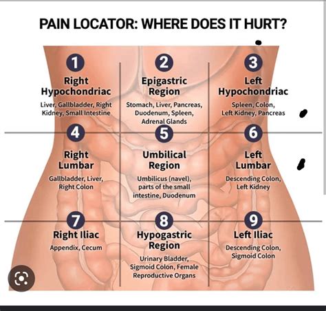 Painful Lump Under Breast On Rib Cage at Nedra Harris blog