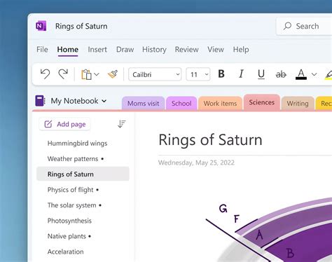 Image result for OneNote Windows 1.0