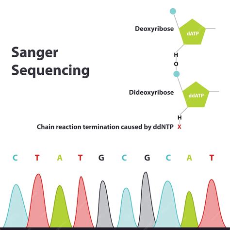 Image result for Sequencing Method
