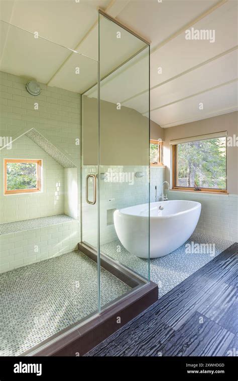 Walk-In Soaking Tub 的图像结果