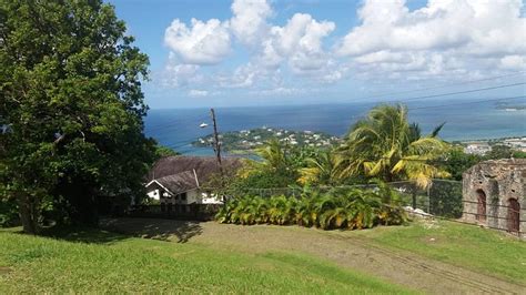 ISLAND LIFE COMFORT TOURS (Updated 2026) All You Need to Know BEFORE ...