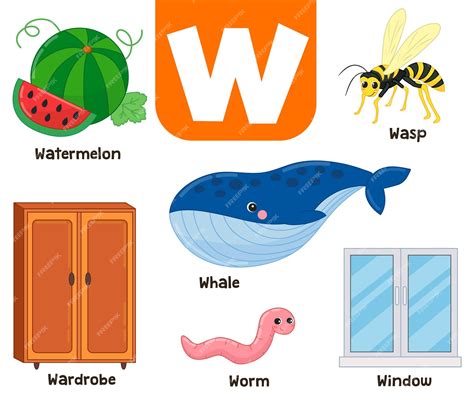 Alfabeto inglés en imágenes ilustración de vector de letra w de color ...